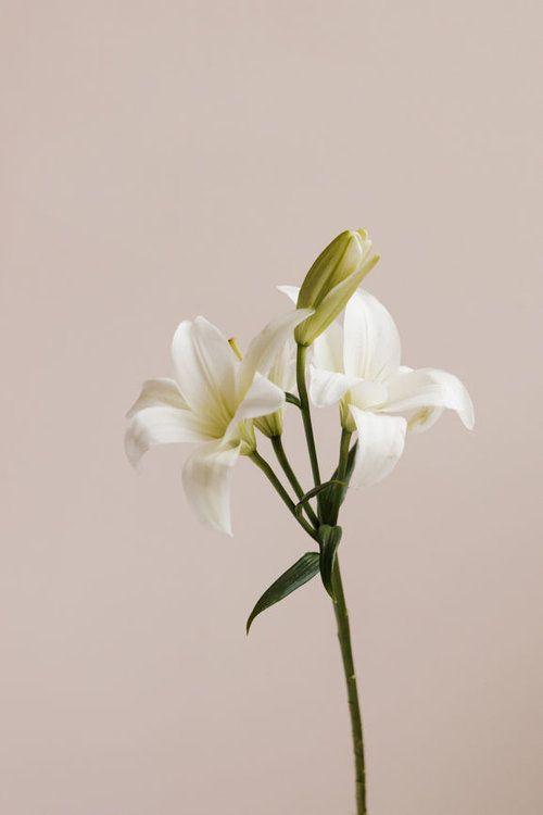 Enchanted Twilight Serenity Arrangement